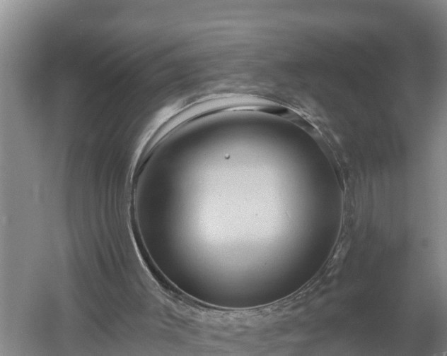 X0000058120003200509301939