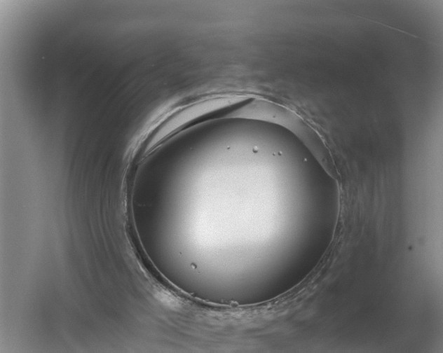 X0000058120005200509301939