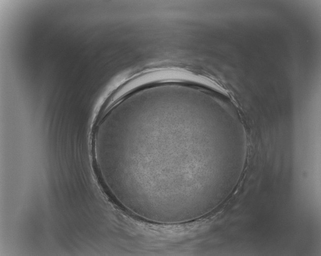 X0000058120006200509301939