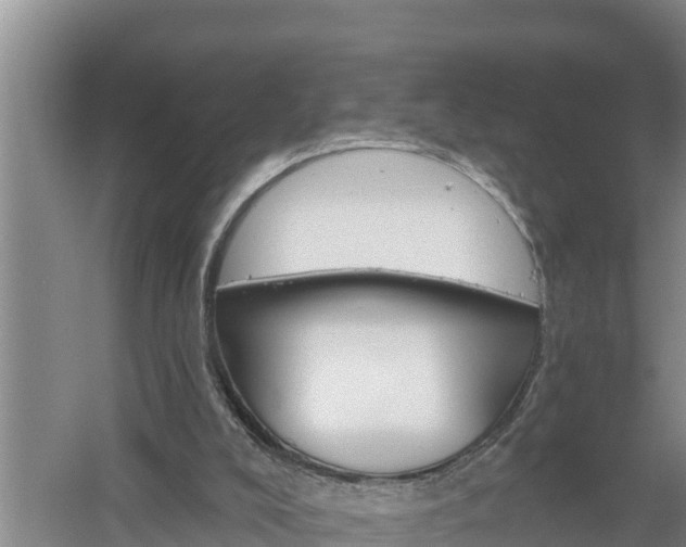 X0000058120008200509301939