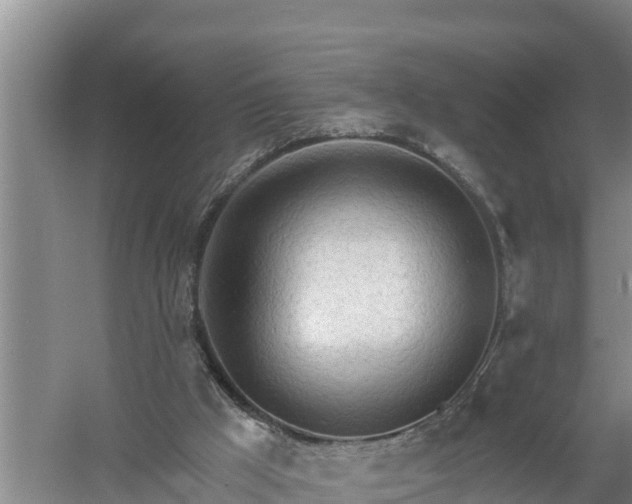 X0000058120009200509301939