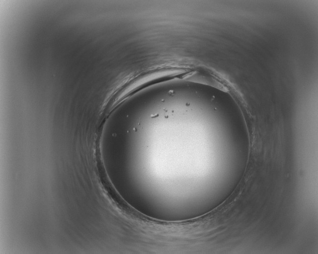 X0000058120010200509301939