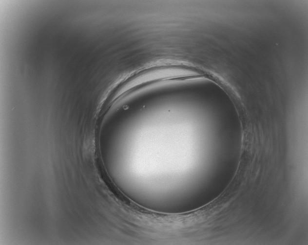 X0000058120015200509301938