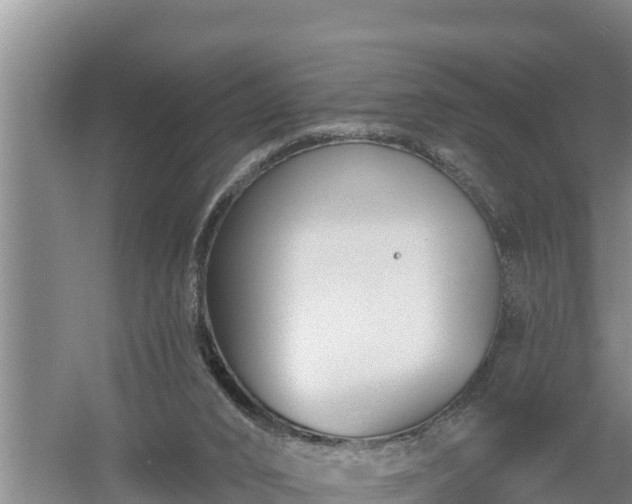 X0000058120016200509301938