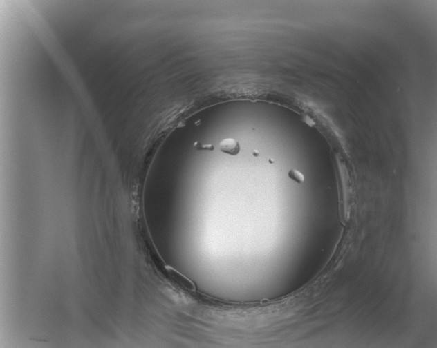 X0000058120017200509301938