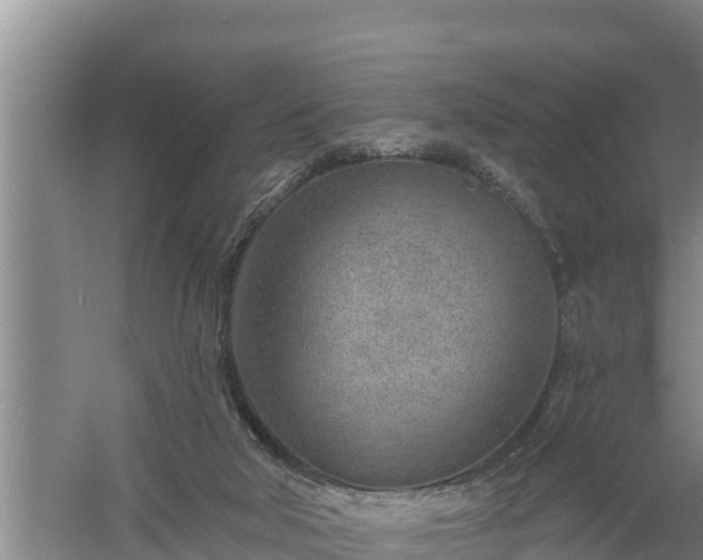 X0000058120018200509301938