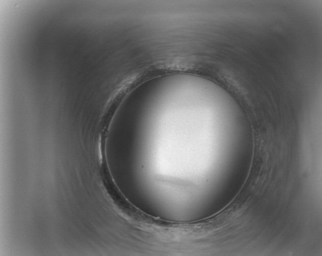 X0000058120020200509301938