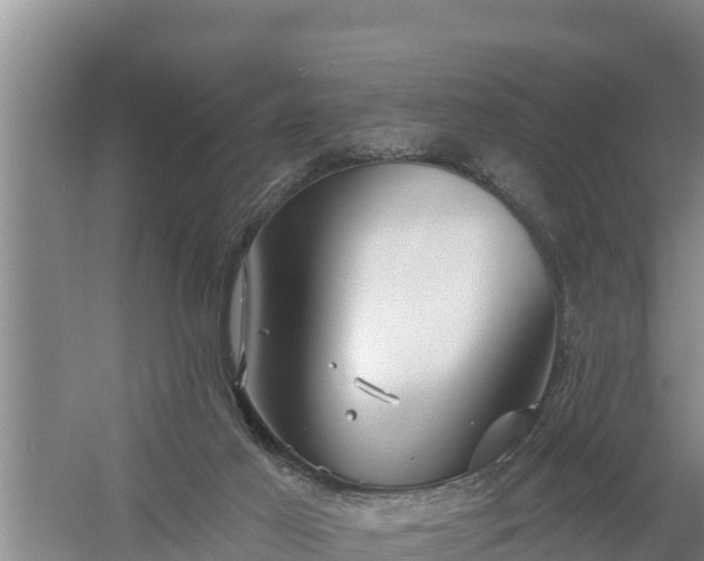 X0000058120021200509301938