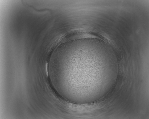 X0000058120022200509301938