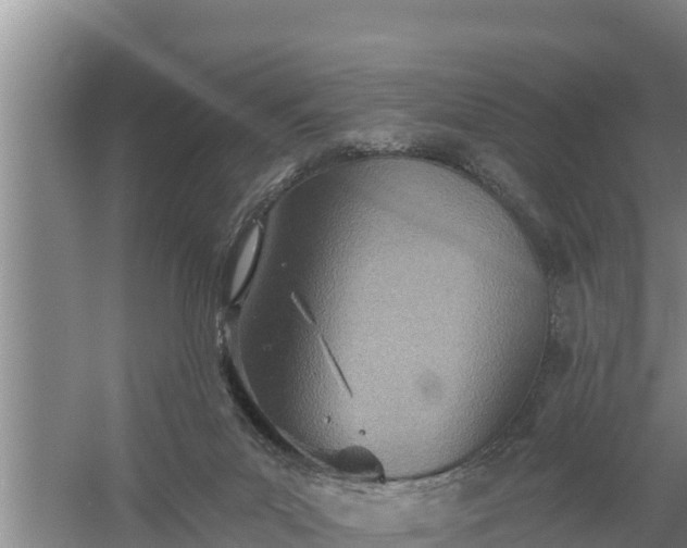 X0000058120023200509301938