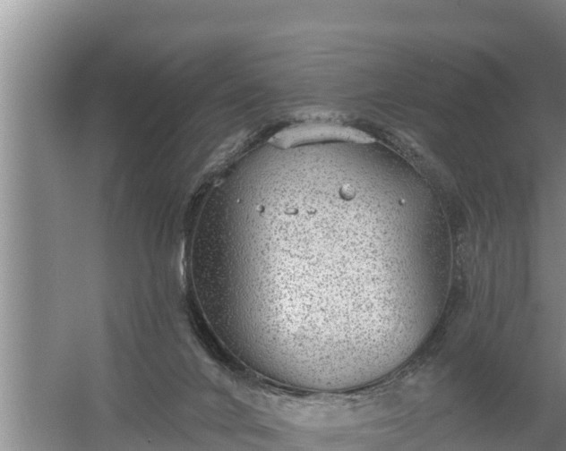 X0000058120024200509301938