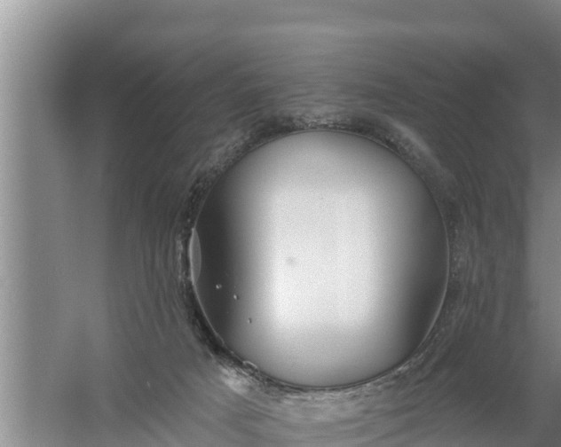 X0000058120025200509301938