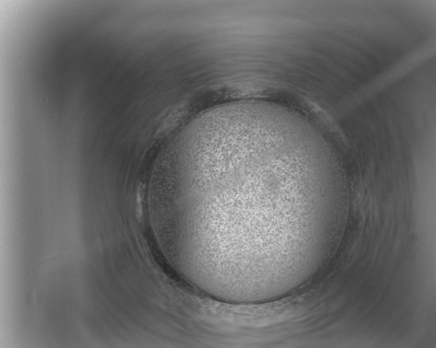 X0000058120026200509301938