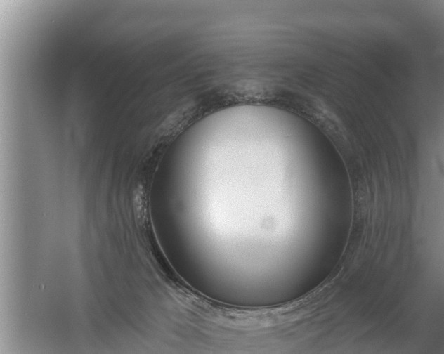 X0000058120029200509301938