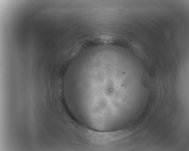 X0000058120030200509301938