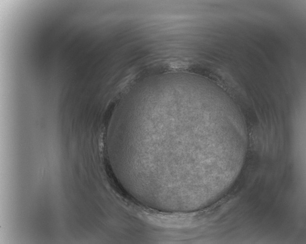 X0000058120032200509301938