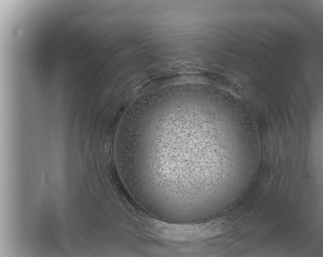 X0000058120034200509301938