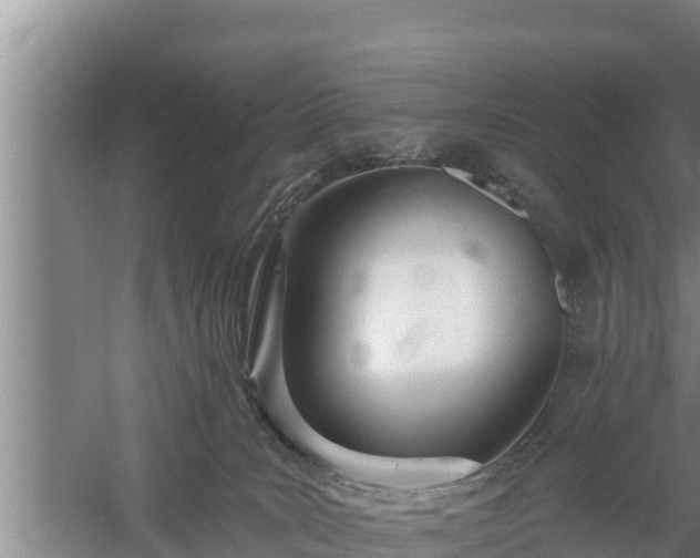 X0000058120035200509301938