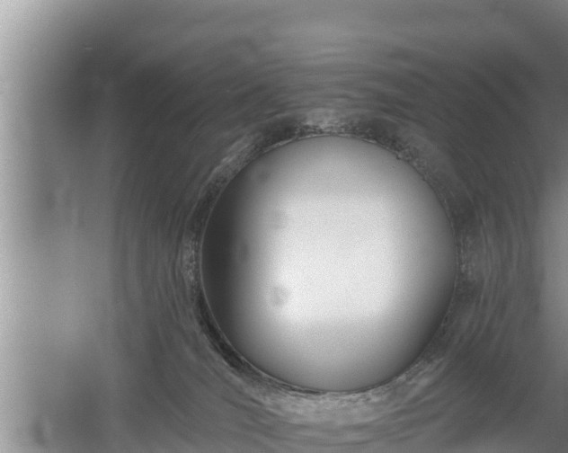 X0000058120036200509301938