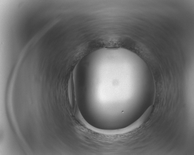 X0000058120037200509301938