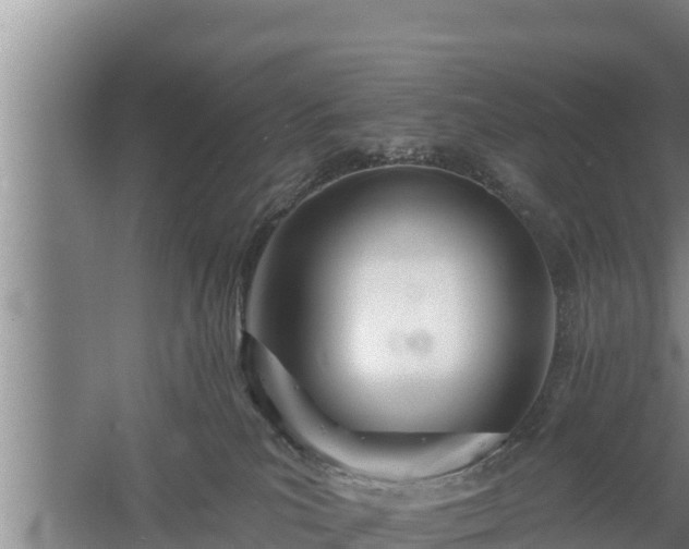 X0000058120039200509301938