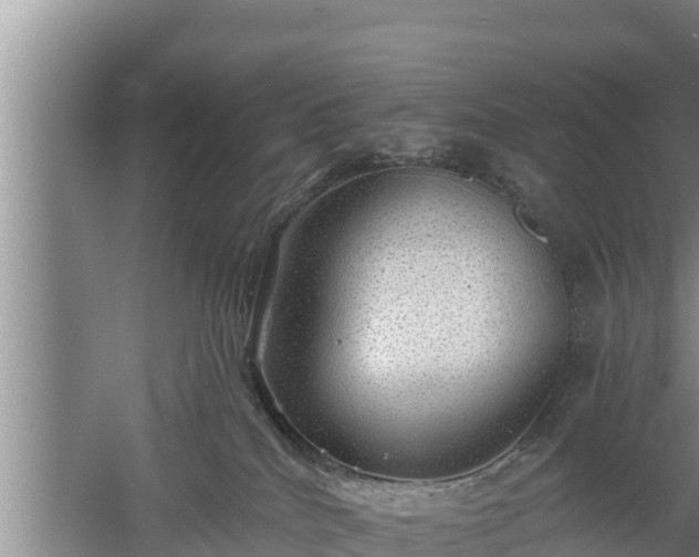 X0000058120040200509301938