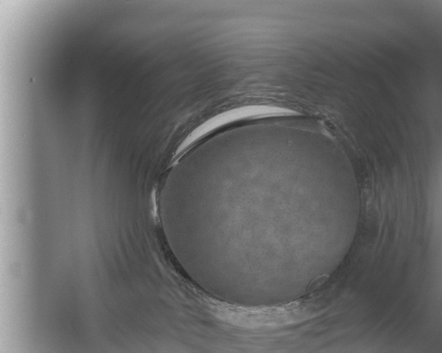 X0000058120042200509301938