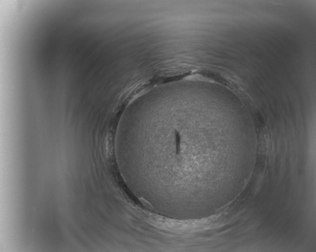 X0000058120043200509301938