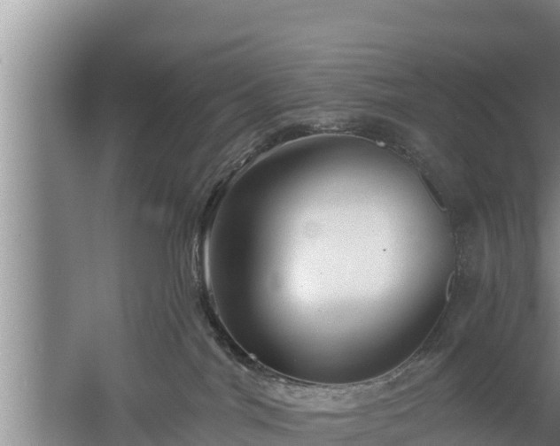 X0000058120044200509301938