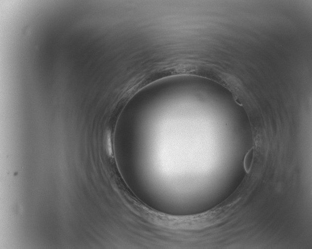 X0000058120046200509301938