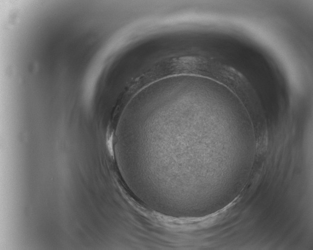 X0000058120047200509301938