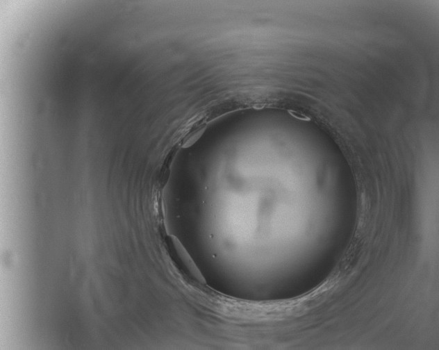 X0000058120048200509301938