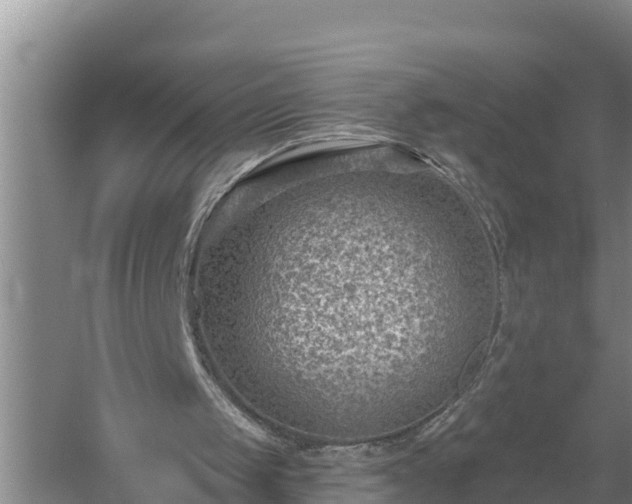 X0000058120049200509301937