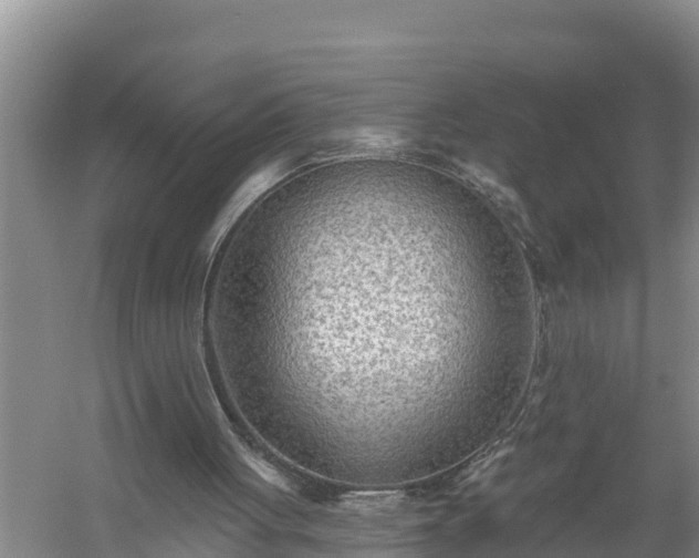 X0000058120051200509301937