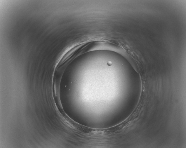 X0000058120052200509301937