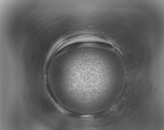 X0000058120053200509301937