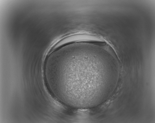 X0000058120055200509301937