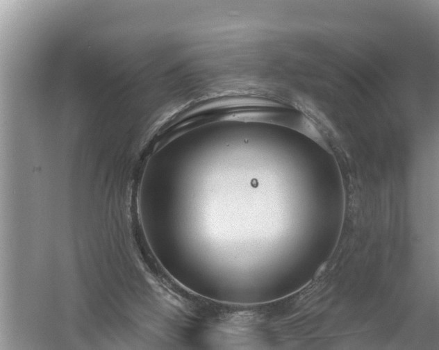 X0000058120058200509301937