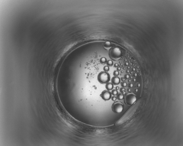 X0000058120060200509301937