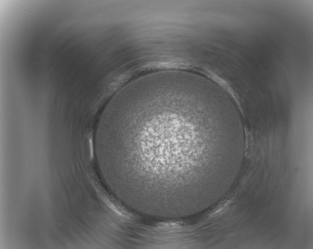 X0000058120061200509301937