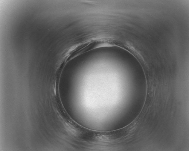 X0000058120062200509301937