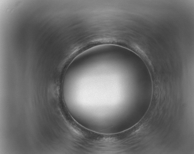 X0000058120063200509301937