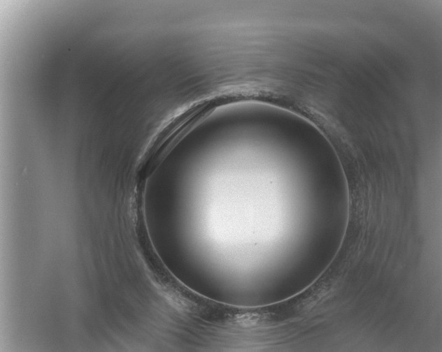 X0000058120064200509301937