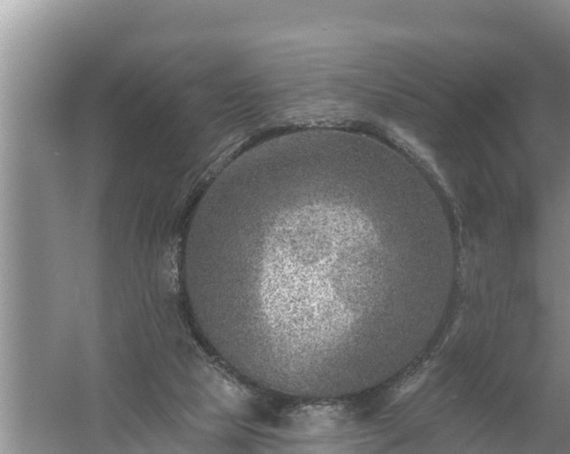 X0000058120065200509301937