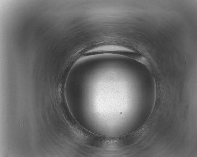 X0000058120066200509301937