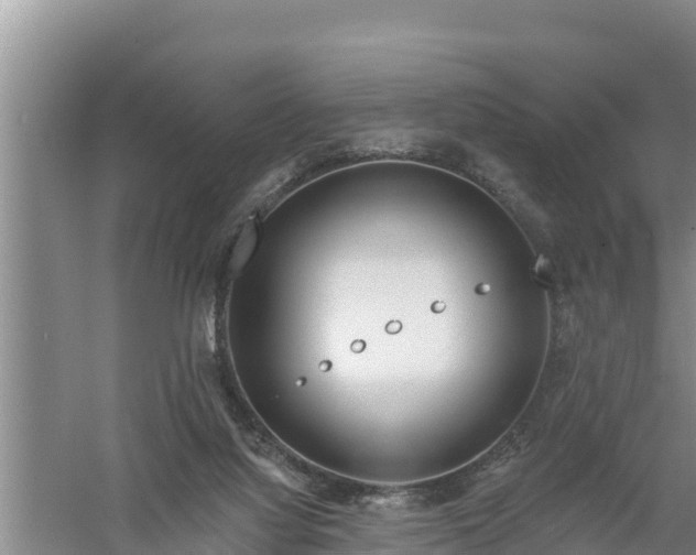 X0000058120068200509301937