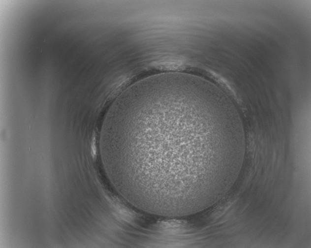 X0000058120069200509301937