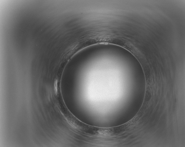 X0000058120070200509301937