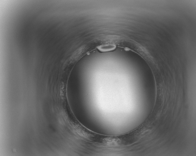 X0000058120073200509301937