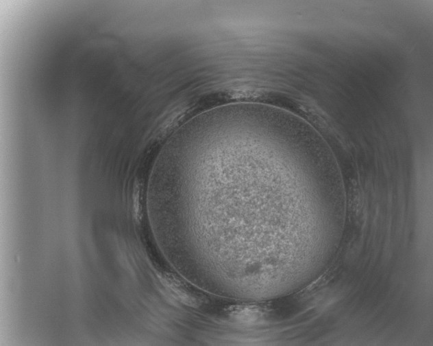 X0000058120074200509301938